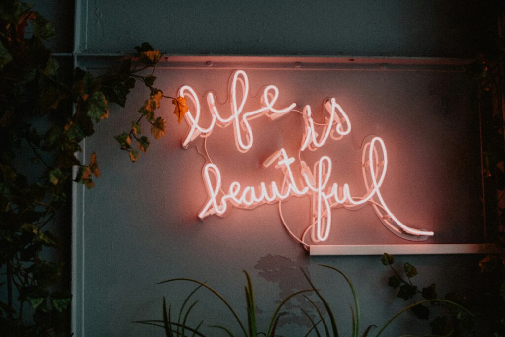 Soft Life