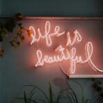 Soft Life